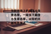当前市场上的最佳小生意选择,一窥当下最佳小生意选择,以你的兴趣为出发点