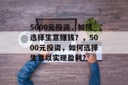 5000元投资,如何选择生意赚钱?,5000元投资,如何选择生意以实现盈利?