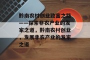 黔南农村创业致富之路——探索非农产业的发家之道，黔南农村创业，发展非农产业的发家之道