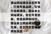 唐山网站建设自主开发，打造专属品牌，引领行业新潮流，唐山本土网站建设，自主开发创新，塑造品牌新标杆，唐山本土网站建设创新先锋，自主开发塑造品牌新高度