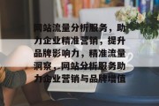 网站流量分析服务，助力企业精准营销，提升品牌影响力，精准流量洞察，网站分析服务助力企业营销与品牌增值