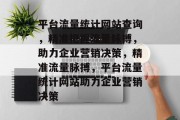 平台流量统计网站查询，精准把握流量脉搏，助力企业营销决策，精准流量脉搏，平台流量统计网站助力企业营销决策