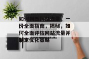 如何判断网站流量，一份全面指南，揭秘，如何全面评估网站流量并制定优化策略