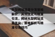 大型网站流量分发策略解析，高效优化与精准引流，揭秘大型网站流量优化，策略解析与精准引流技巧