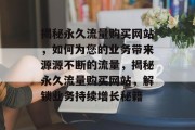 揭秘永久流量购买网站，如何为您的业务带来源源不断的流量，揭秘永久流量购买网站，解锁业务持续增长秘籍