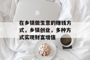 在乡镇做生意的赚钱方式,乡镇创业,多种方式实现财富增值