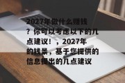 2027年做什么赚钱？你可以考虑以下的几点建议！，2027年的钱景，基于您提供的信息提出的几点建议
