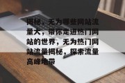 揭秘，无为哪些网站流量大，带你走进热门网站的世界，无为热门网站流量揭秘，探索流量高峰地带