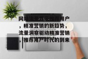 网站流量显示推荐用户，精准营销的新趋势，流量洞察驱动精准营销，推荐用户时代的到来