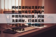 揭秘靠谱网站流量的秘密，如何吸引真实用户并提升网站价值，网站流量揭秘，打造真实用户吸引力，提升网站价值的秘诀