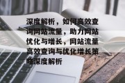 深度解析，如何高效查询网站流量，助力网站优化与增长，网站流量高效查询与优化增长策略深度解析