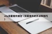 ota流量提升捷径（流量提升的方法和技巧）
