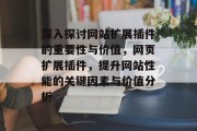深入探讨网站扩展插件的重要性与价值，网页扩展插件，提升网站性能的关键因素与价值分析