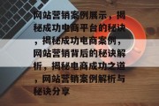 网站营销案例展示，揭秘成功电商平台的秘诀，揭秘成功电商案例，网站营销背后的秘诀解析，揭秘电商成功之道，网站营销案例解析与秘诀分享