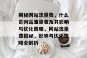 揭秘网站流量费，什么是网站流量费及其影响与优化策略，网站流量费揭秘，影响与优化策略全解析