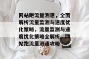 网站跑流量测速，全面解析流量监测与速度优化策略，流量监测与速度优化策略全解析，网站跑流量测速攻略