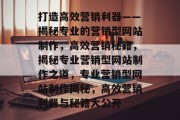 打造高效营销利器——揭秘专业的营销型网站制作，高效营销秘籍，揭秘专业营销型网站制作之道，专业营销型网站制作揭秘，高效营销利器与秘籍大公开