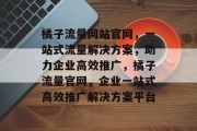 橘子流量网站官网，一站式流量解决方案，助力企业高效推广，橘子流量官网，企业一站式高效推广解决方案平台
