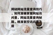 揭秘网站流量查询技巧，如何准确掌握网站访问量，网站流量查询秘籍，精准掌控访问量之道