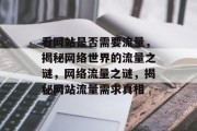 看网站是否需要流量，揭秘网络世界的流量之谜，网络流量之谜，揭秘网站流量需求真相