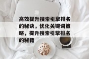 高效提升搜索引擎排名的秘诀，优化关键词策略，提升搜索引擎排名的秘籍