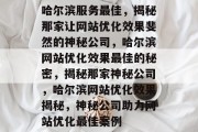 哈尔滨服务最佳，揭秘那家让网站优化效果斐然的神秘公司，哈尔滨网站优化效果最佳的秘密，揭秘那家神秘公司，哈尔滨网站优化效果揭秘，神秘公司助力网站优化最佳案例