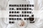 揭秘网站流量查看冒险之旅，解锁流量密码，勇攀高峰！流量探秘，揭秘网站流量奥秘，解锁增长密码，攀登流量巅峰！