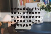 长沙网站建设，助力企业腾飞，打造品牌新高度，长沙专业网站建设，助力企业飞跃，塑造品牌辉煌新篇章
