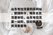 山东电信流量购买网站，便捷购卡，畅享无忧流量体验，山东电信流量一站购，轻松畅享无忧流量服务