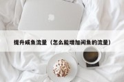 提升咸鱼流量（怎么能增加闲鱼的流量）