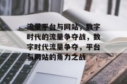 流量平台与网站，数字时代的流量争夺战，数字时代流量争夺，平台与网站的角力之战