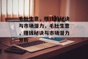 毛肚生意，赚钱的秘诀与市场潜力，毛肚生意，赚钱秘诀与市场潜力分析