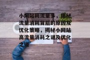 小网站耗流量多，揭秘流量消耗背后的原因及优化策略，揭秘小网站高流量消耗之谜及优化之道