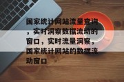 国家统计网站流量查询，实时洞察数据流动的窗口，实时流量洞察，国家统计网站的数据流动窗口