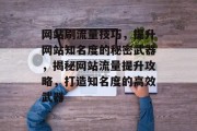 网站刷流量技巧，提升网站知名度的秘密武器，揭秘网站流量提升攻略，打造知名度的高效武器