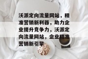 沃派定向流量网站，精准营销新利器，助力企业提升竞争力，沃派定向流量网站，企业精准营销新引擎