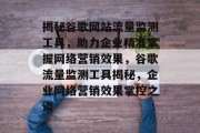 揭秘谷歌网站流量监测工具，助力企业精准掌握网络营销效果，谷歌流量监测工具揭秘，企业网络营销效果掌控之道