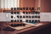 企业网站开发方案，打造高效、专业的在线形象，专业高效企业网站解决方案，塑造卓越在线品牌形象