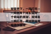 双管齐下，一网打尽——揭秘两个域名指向一个网站的奥秘，双域名一网打尽，揭秘网站双管齐下技术