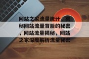网站之家流量统计，揭秘网站流量背后的秘密，网站流量揭秘，网站之家深度解析流量秘密