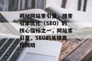 揭秘网站索引量，搜索引擎优化（SEO）的核心指标之一，网站索引量，SEO的关键奥秘揭晓