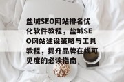 盐城SEO网站排名优化软件教程，盐城SEO网站建设策略与工具教程，提升品牌在线可见度的必读指南