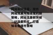 网站买IP流量，提升网站流量与知名度的新策略，网站流量新突破，IP流量购买，打造知名度提升策略