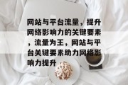 网站与平台流量，提升网络影响力的关键要素，流量为王，网站与平台关键要素助力网络影响力提升