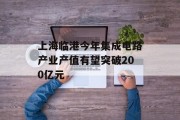 上海临港今年集成电路产业产值有望突破200亿元