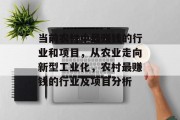当前农村中最赚钱的行业和项目，从农业走向新型工业化，农村最赚钱的行业及项目分析