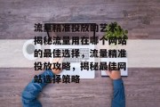 流量精准投放的艺术，揭秘流量用在哪个网站的最佳选择，流量精准投放攻略，揭秘最佳网站选择策略