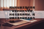 揭秘网站骗流量的真相，背后的动机与手段，网络流量陷阱揭秘，揭秘骗流量的秘密手段与动机