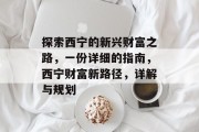 探索西宁的新兴财富之路，一份详细的指南，西宁财富新路径，详解与规划
