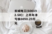 长城电工(600192.SH)：上半年净亏损8098.29万元